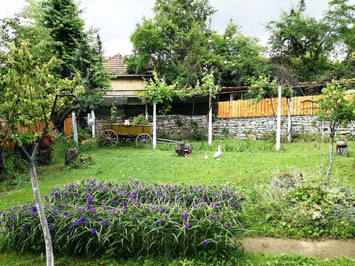 Divna Guest House 크루슈나 외부 사진