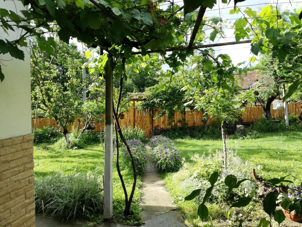 Divna Guest House 크루슈나 외부 사진